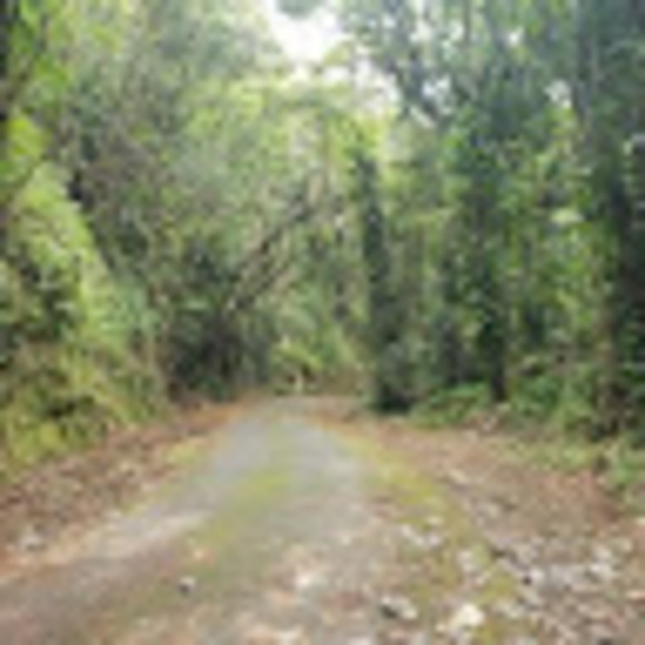 Meet your Posher, Everly - Picture 1 of 1